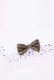 Childrens Gold Tan Paisley Print Bow Tie